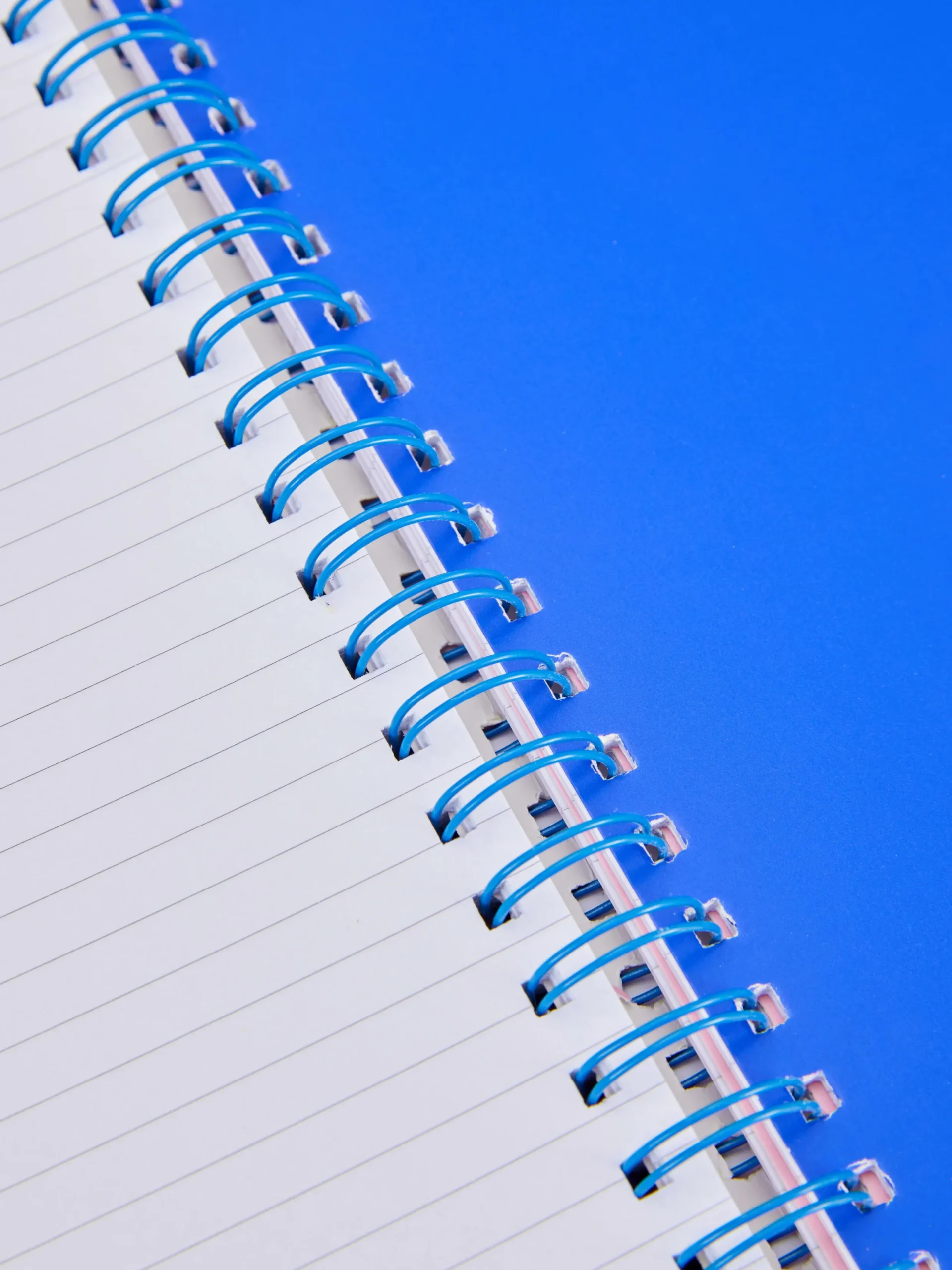Carnets|Primark Carnet A4 à Imprimé Jaguar Rose