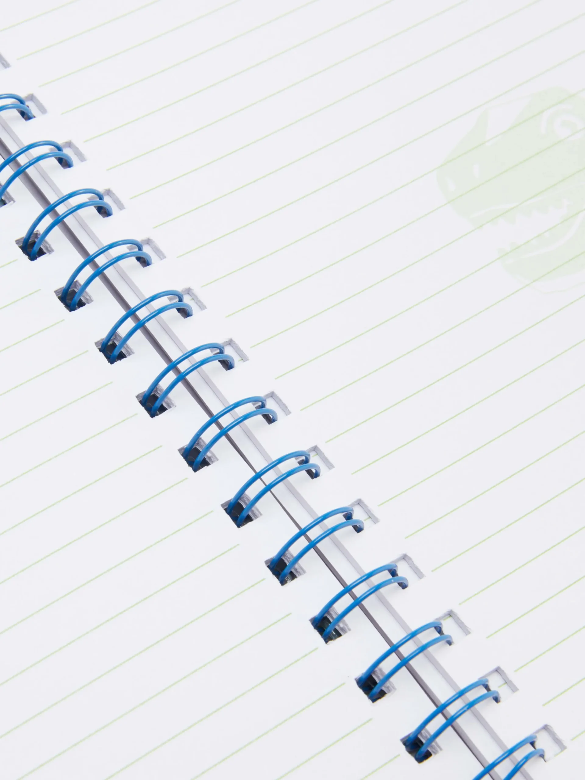 Carnets|Primark Carnet A5 Fantaisie à Motif Dinosaure Vert