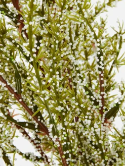 Plantes Et Fleurs Artificielles|Primark Fougère Artificielle Une Tige Crème