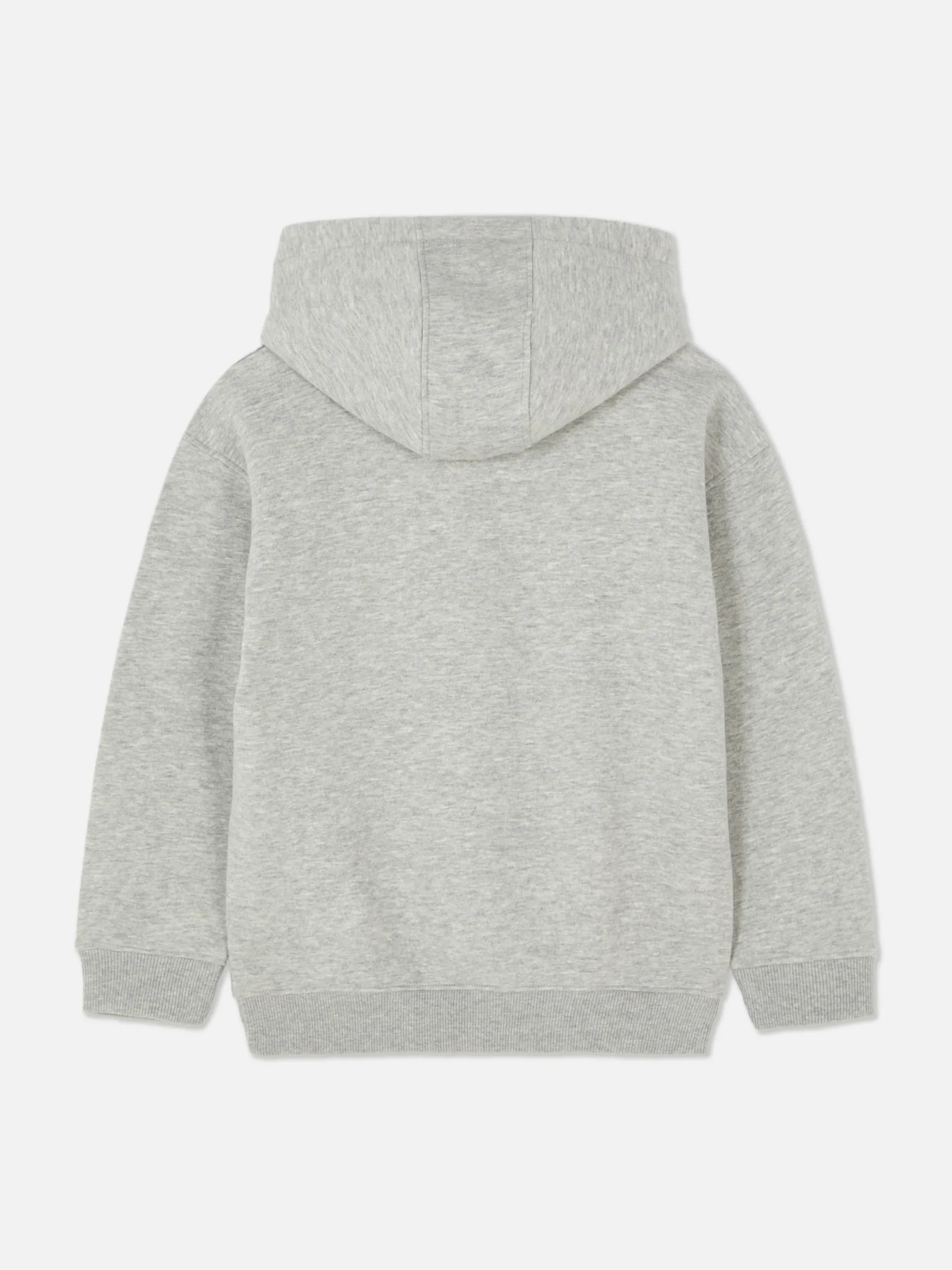 Sweats À Capuche Et Sweat-Shirts|Primark Sweat à Capuche En Bouclé Future Projects Gris