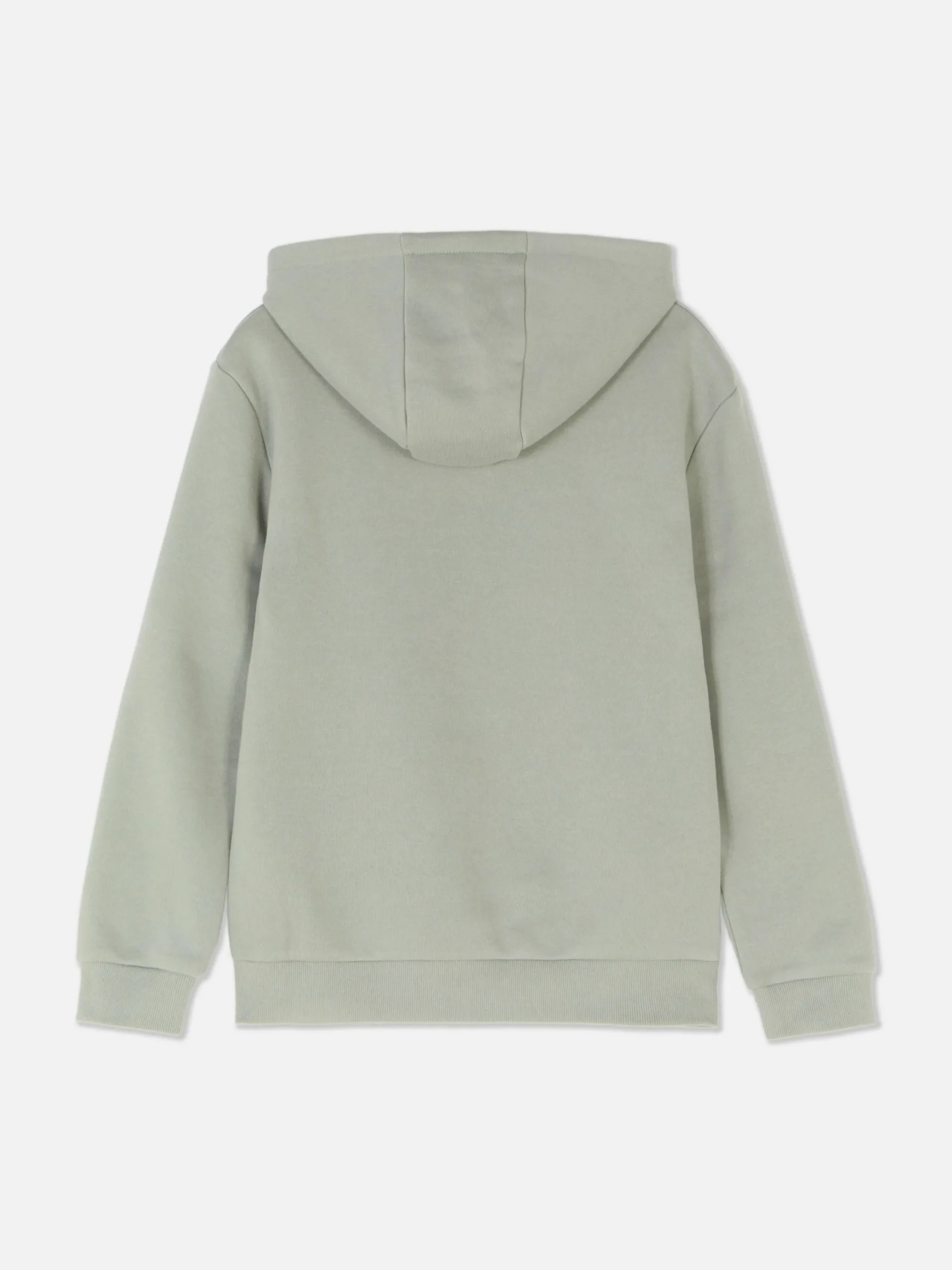 Sweats À Capuche Et Sweat-Shirts|Primark Sweat à Capuche Graphique Vert menthe