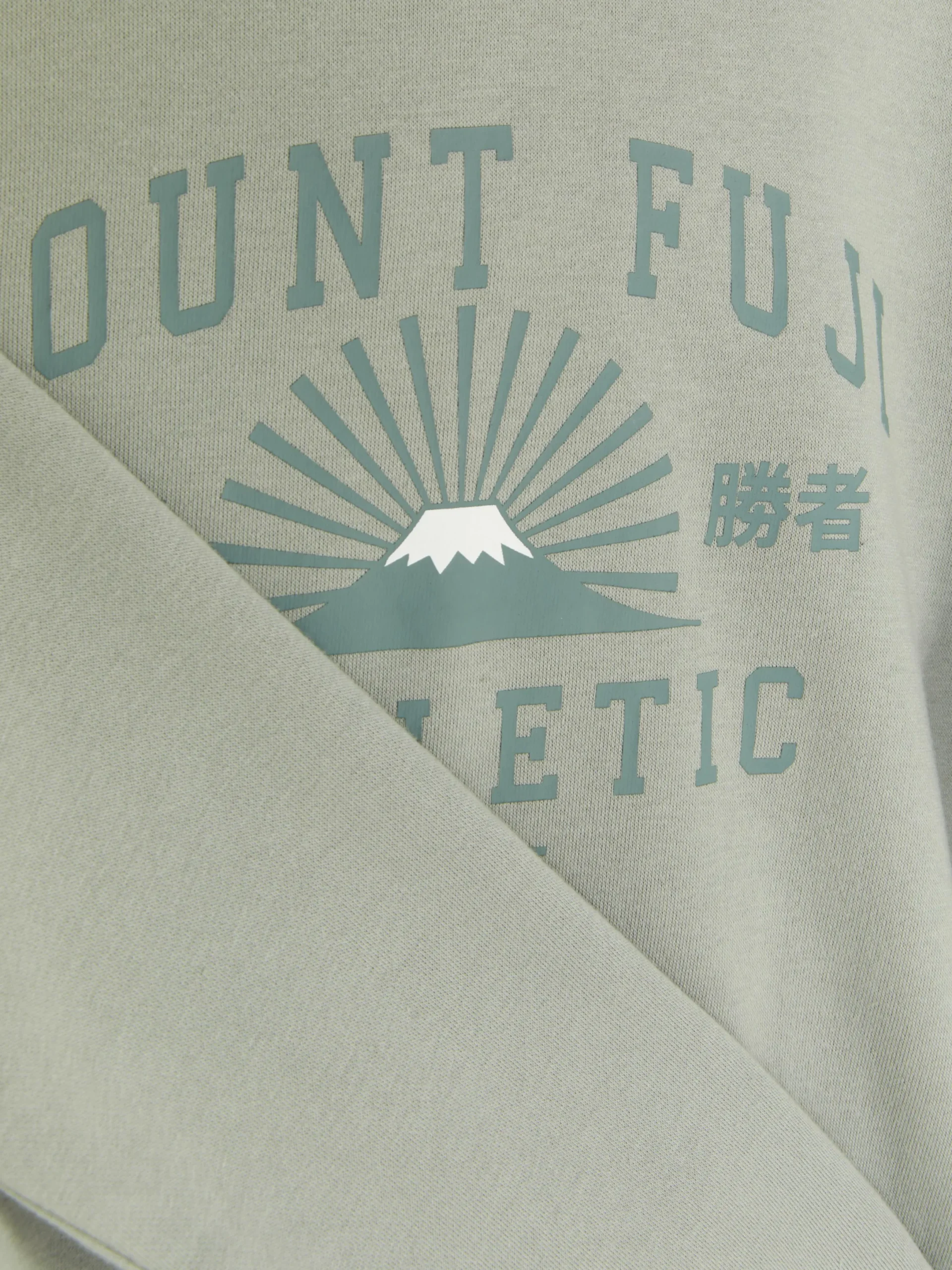 Sweats À Capuche Et Sweat-Shirts|Primark Sweat à Capuche Graphique Vert menthe