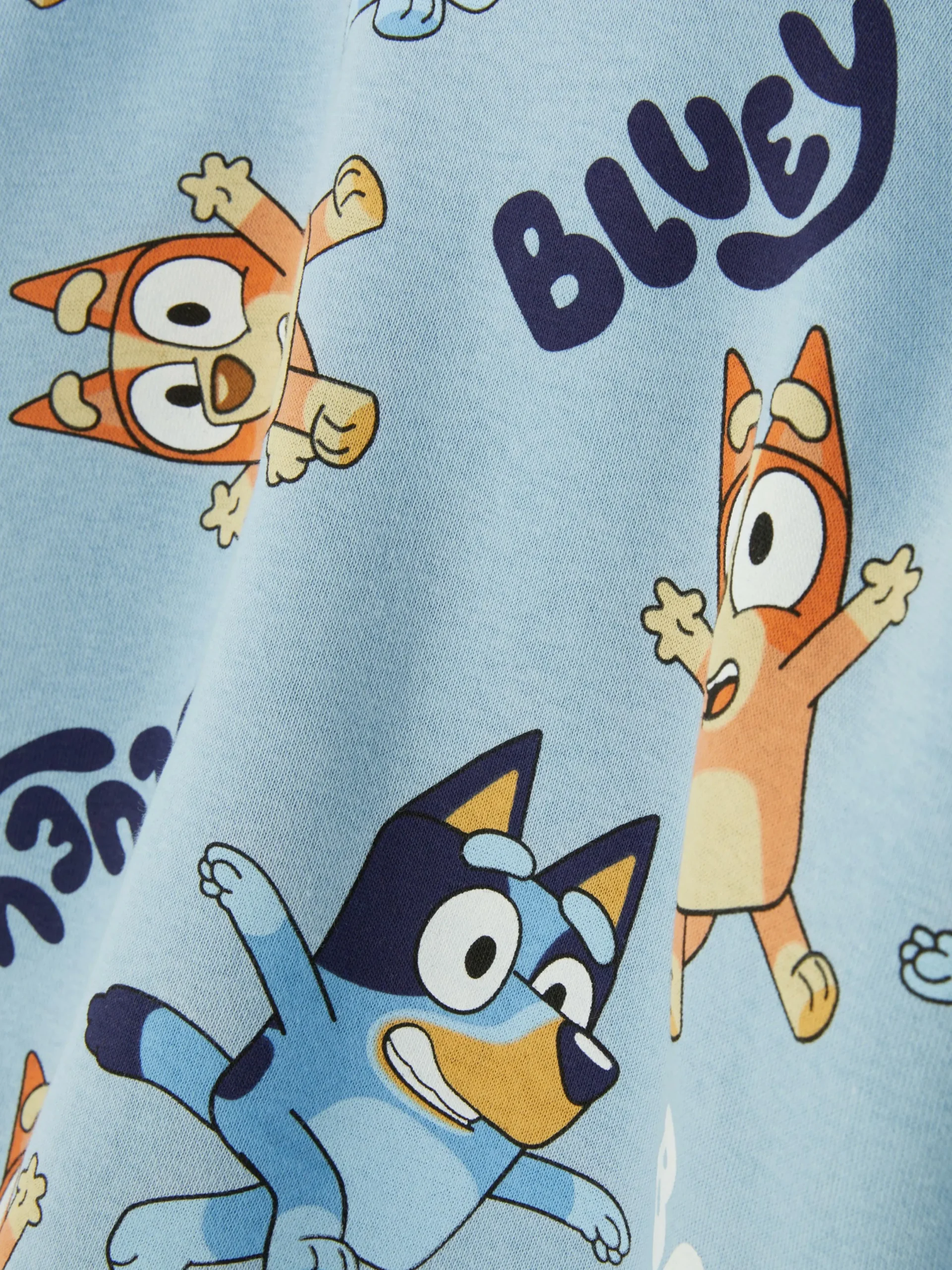 Sweats À Capuche Et Sweat-Shirts|Primark Sweat à Capuche Graphique Bluey Bleu