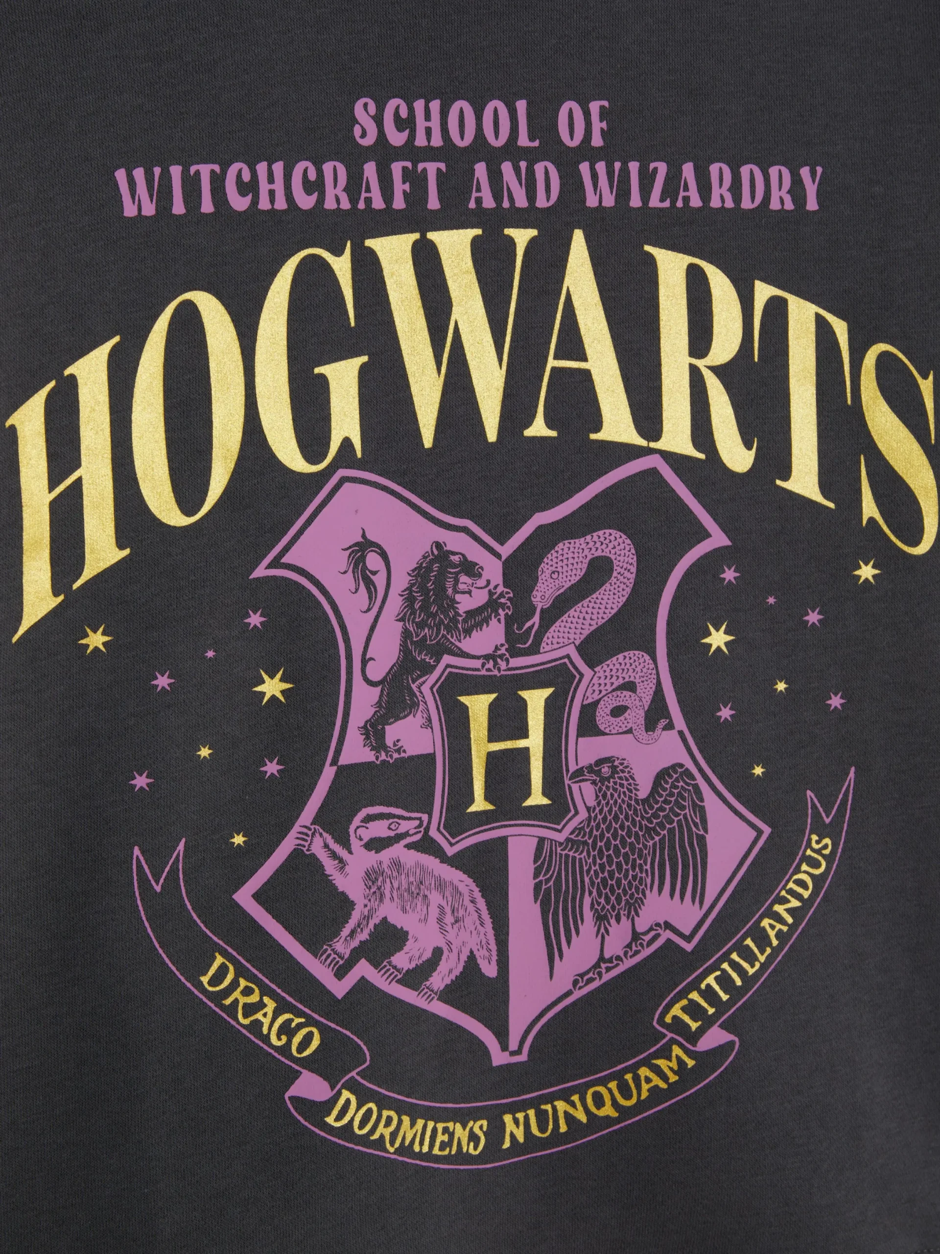 Sweats À Capuche Et Sweat-Shirts|Primark Sweat-shirt à Col Ras-du-cou Harry Potter™ Poudlard Anthracite