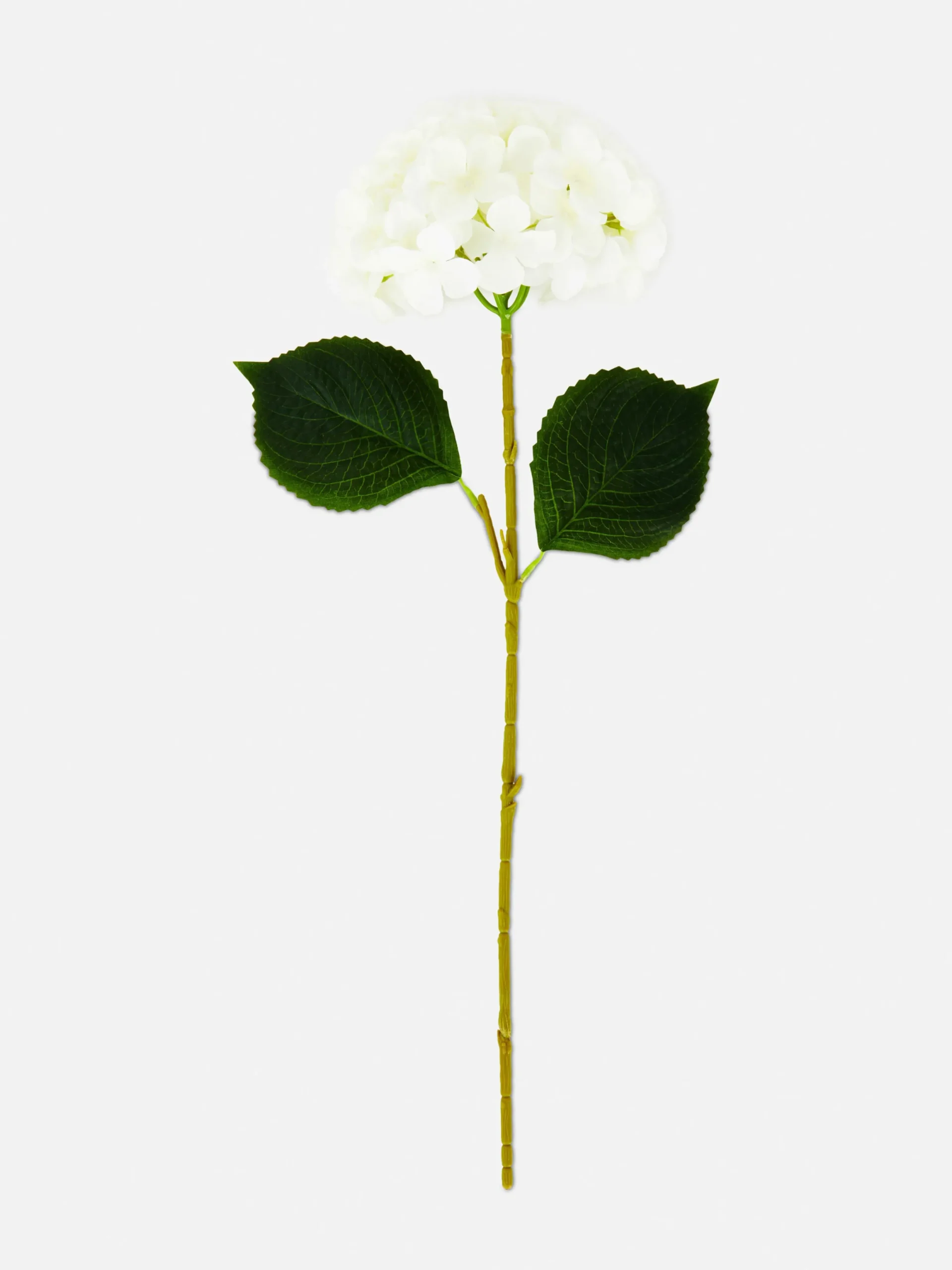Plantes Et Fleurs Artificielles|Primark Tige D'hortensia Artificielle Blanc