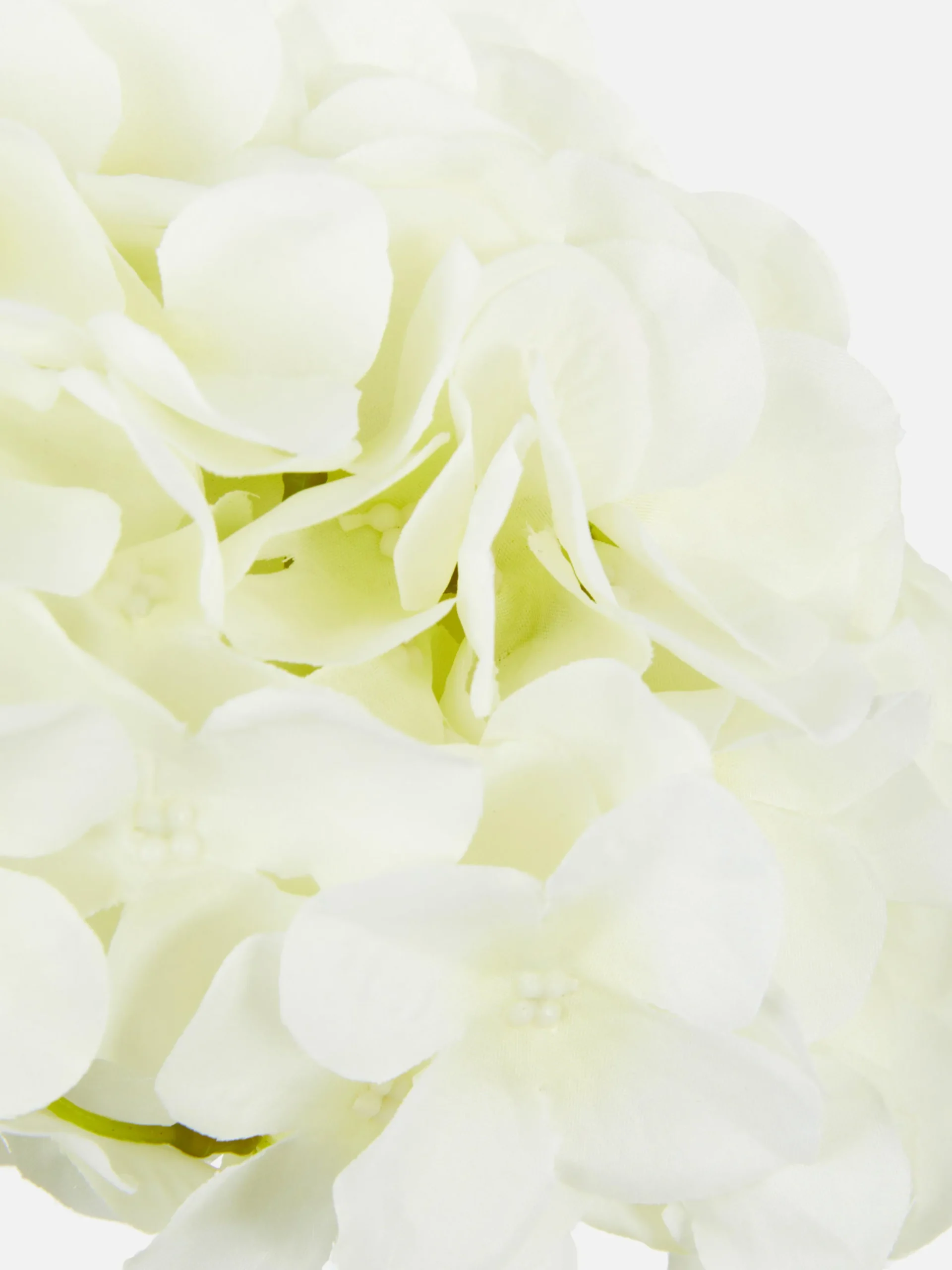 Plantes Et Fleurs Artificielles|Primark Tige D'hortensia Artificielle Blanc