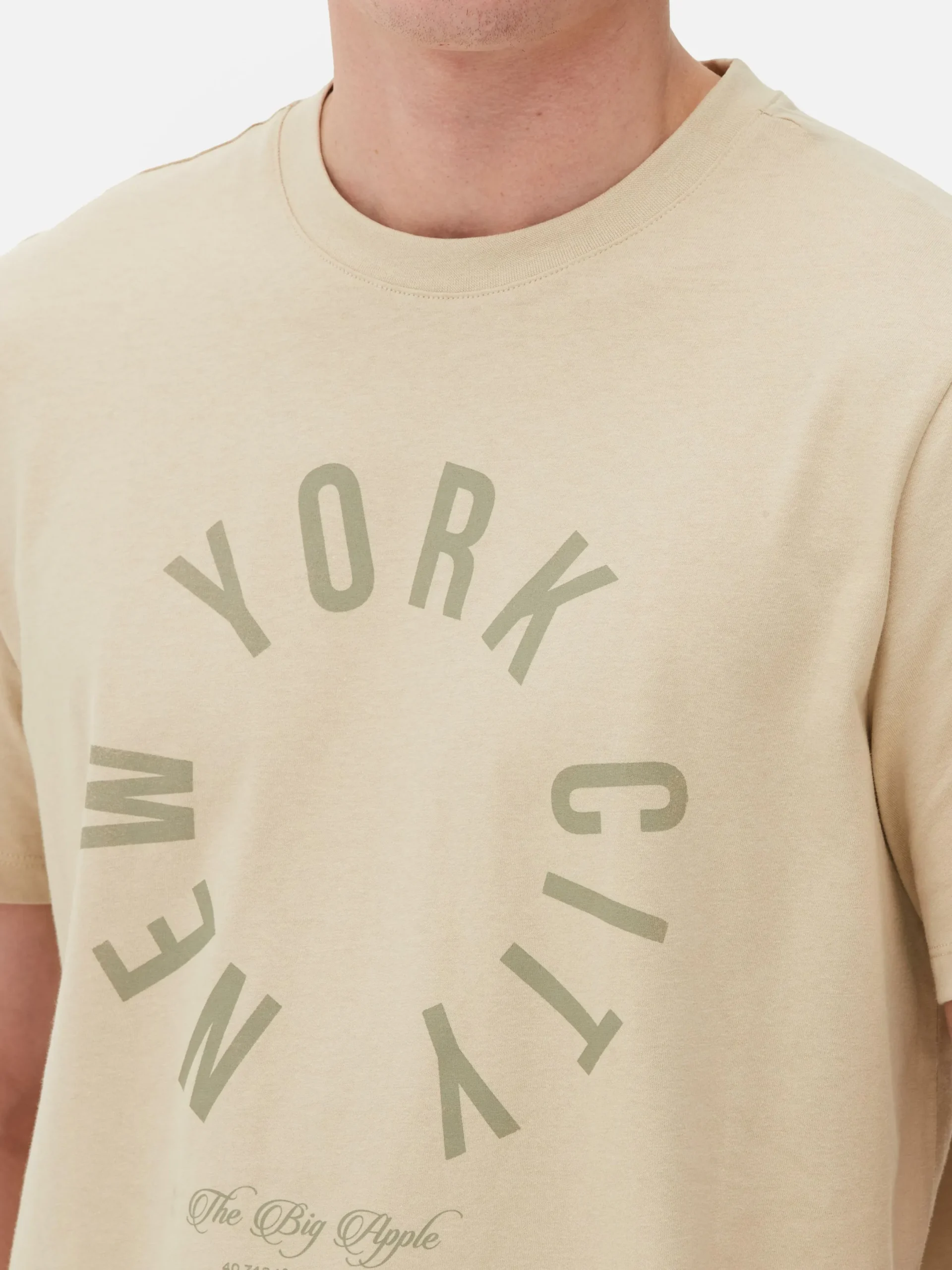 Hauts Et T-Shirts|Primark T-shirt Imprimé New York City Grège